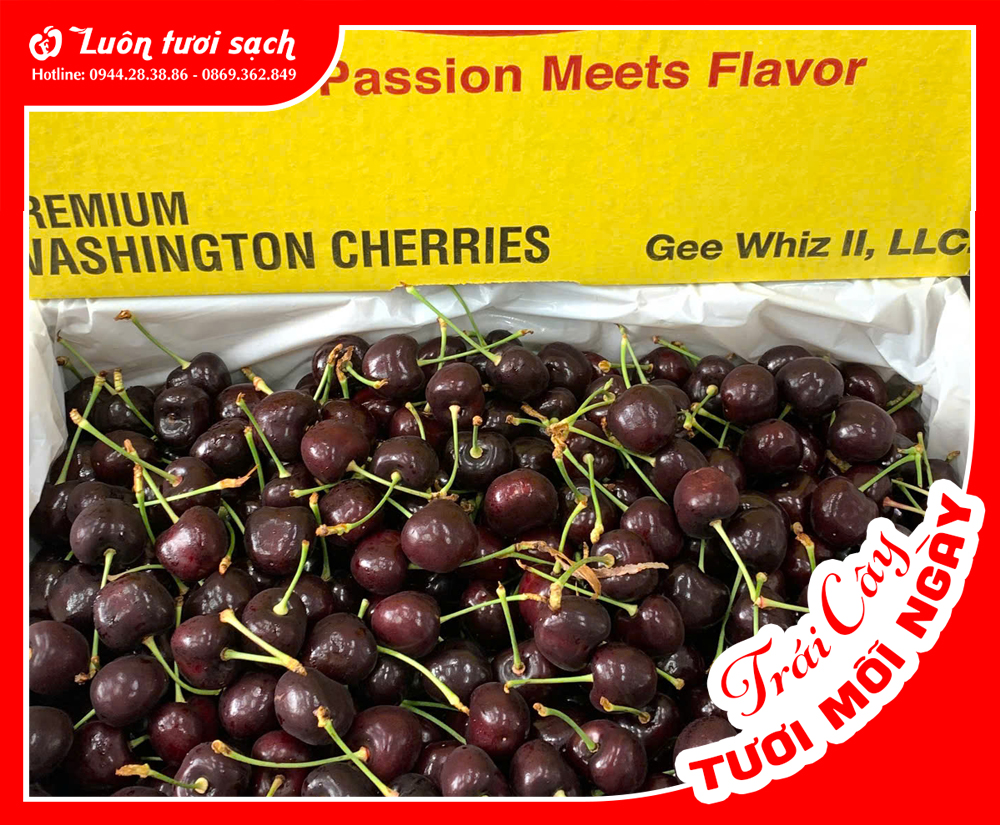 Cherry đỏ Mỹ